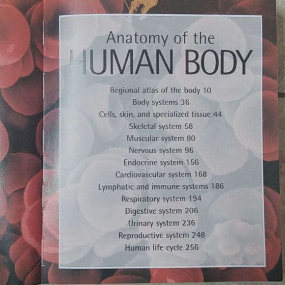 Human Body Book - Picture 4 of 5